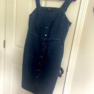 Rebel Wilson denim dress
